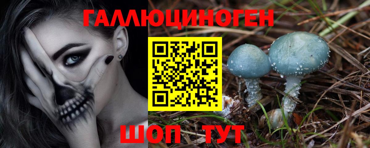 купить наркотик  Псилоцибиновые грибы GOLDEN TEACHER  Вход с VPN  Кулебаки 